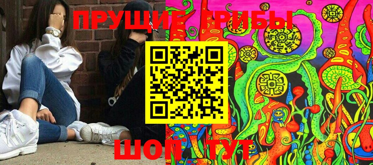 Галлюциногенные грибы Psilocybe Наро-Фоминск